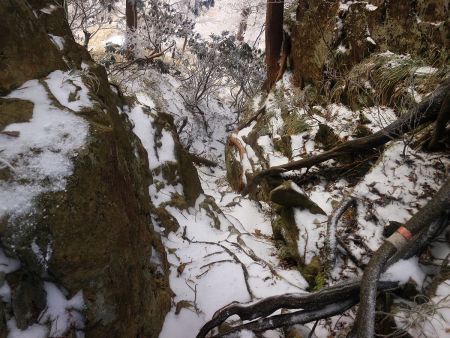 ここの下りがちょっと厄介だったけど、まあなんとか下ることができた