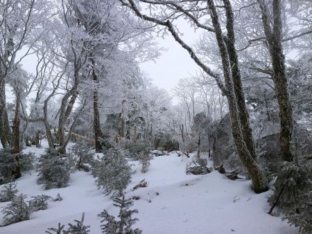 完全に雪道になって、時折ズボズボとハマってしまう。これで青空が出ていたら最高だろうな