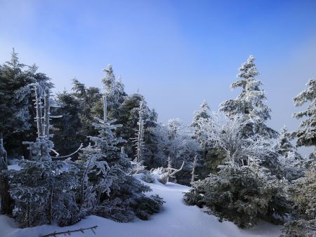ここから奇跡が起こったというか青空がでてきた。素晴らしい青と白のコントラスのはじまりだった