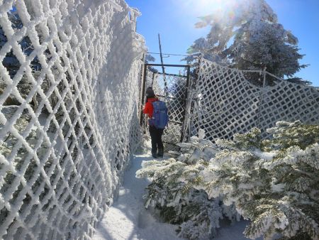 この扉の向こう側に入れるところがあるとのことで雪で開かなかったけど無理矢理入っていった