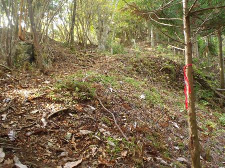 ところどこテープあり