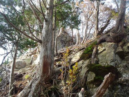 一旦この付近で休憩することに