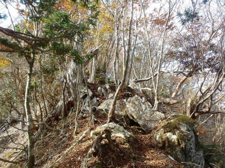 さらに急登は続く