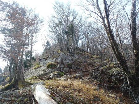 これを登ると少しなだらかになる