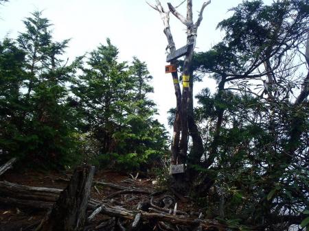 鉄山山頂に到着