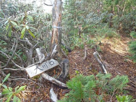 大川口への案内があるが、これ下りたくない