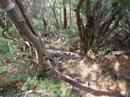 鉄山より一旦ピークを降りる