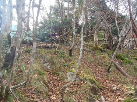 ここからなだらかな登りがはじまる