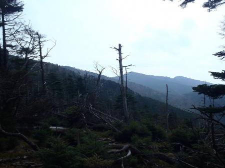 八経ヶ岳が見えた