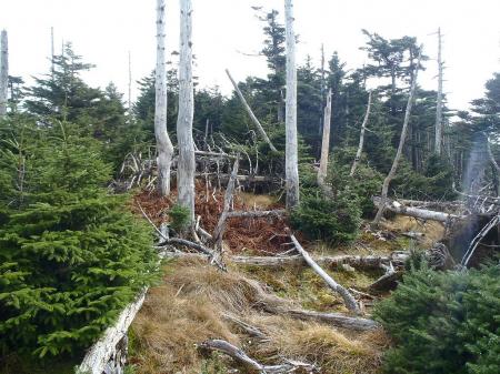 ここが迷いやすいポイント。真っ直ぐなようで右が正解