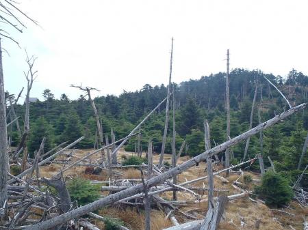 弥山小屋と弥山が見える