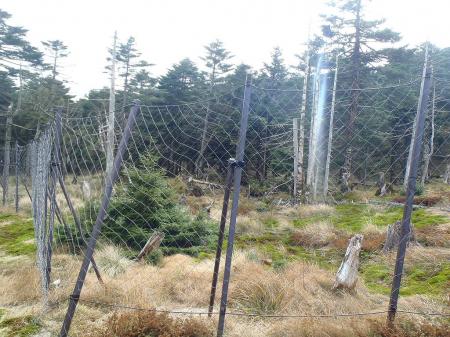 この網はくぐれないので左へ