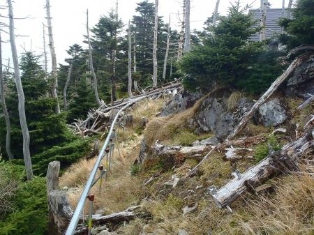 レール越しにいく