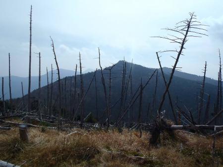 これから向かう八経ヶ岳