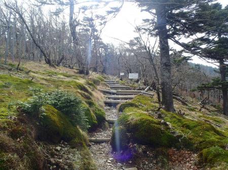 一旦くだって登る