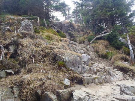 八経ヶ岳の手前は岩