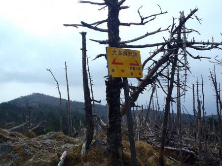 続いて明星ヶ岳に向かう