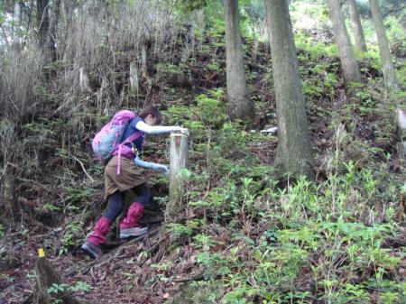 いきなり始まる急登