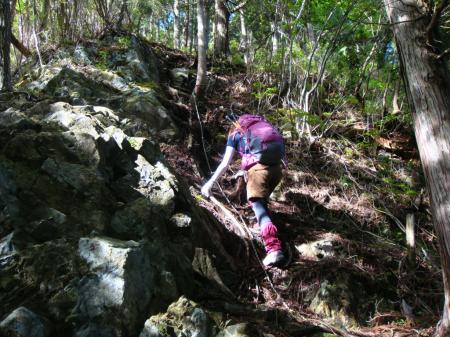 尾根を無理矢理登っている感あり