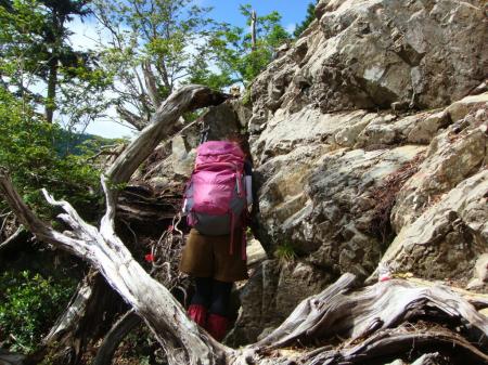 時折こういった岩も登る
