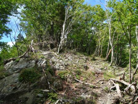 この付近まで来ると草つきの展望台地まであと少し