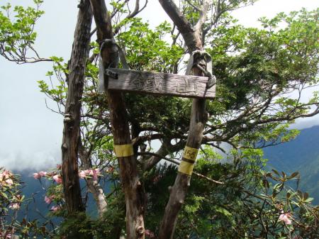 鉄山(1563m)に到着。看板がなくなっていた。