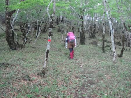 ここから雰囲気が変わる
