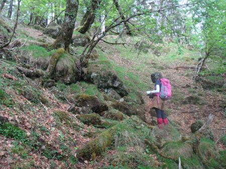 なんか前に来たときと変わっていた