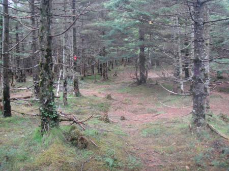 ここからまた雰囲気が変わる