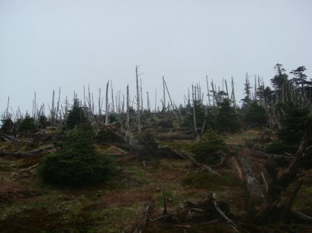 ここも前と少し変わっていた