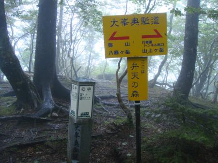 弁天の森(1600m)に到着