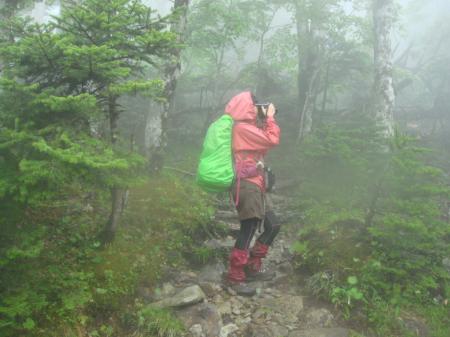 雨の中、苔とガスの森林を撮影するS嬢
