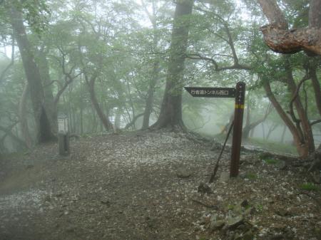 トンネル西口の分岐