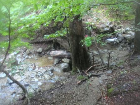 沢まで下りてきた。お疲れ様でした