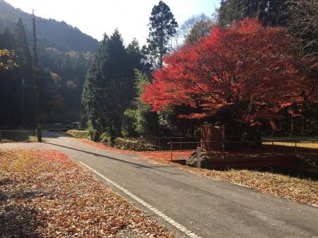 駐車場所から四斗谷集落、薬師堂の登山口まで歩いていきます