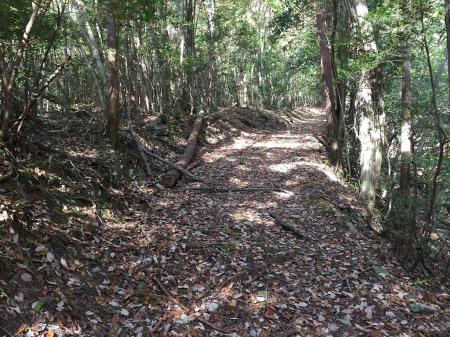 まずはなだらかな道を歩く