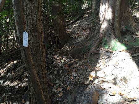 こういった道標があるが、見失いやすい