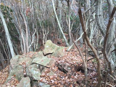 トンガリ山直下は岩やガレた場所がある