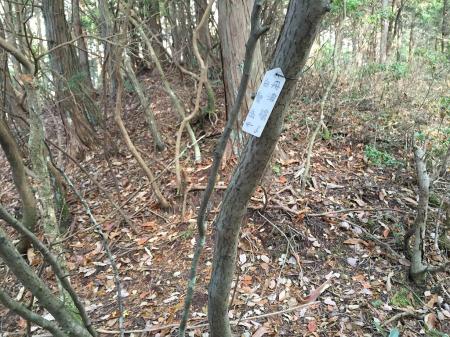 久しぶりにみたこの道標。こんなところにもあった