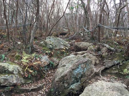 白髪岳直下のラストの登りはかなりきつかった