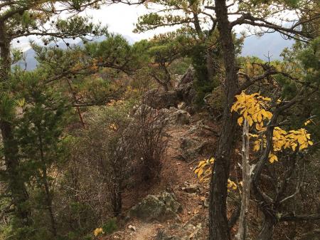 白髪岳直下は岩場になっている