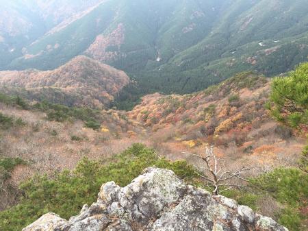 下のほうが紅葉していた