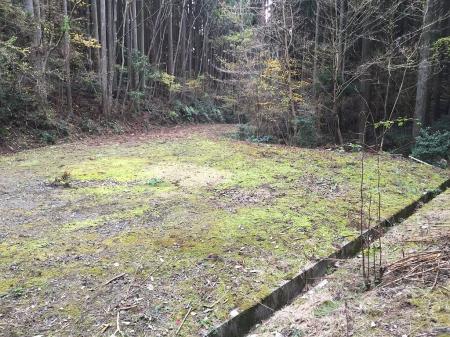 林道の終点地点にきた