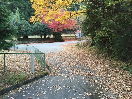 道路に戻ってきました