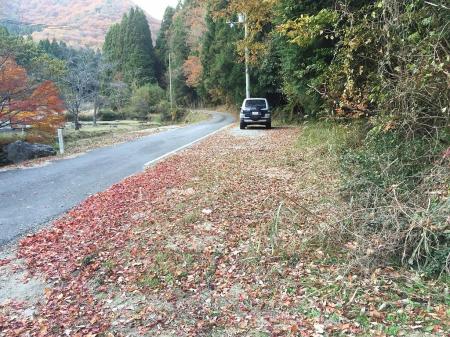 ピンポイントで車の場所に出てきた