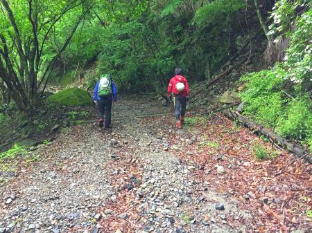 また長い林道を歩くのか・・・