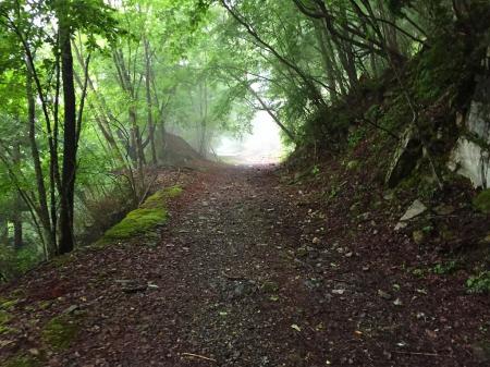 ここまでくると林道はあと少し！