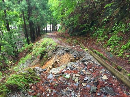 沢へ下りていきます