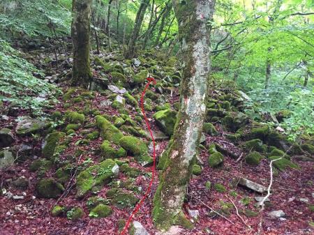 下調べしていたトサカ尾根への登り口がわからない。仕方なく登り易そうな尾根を選択して登る