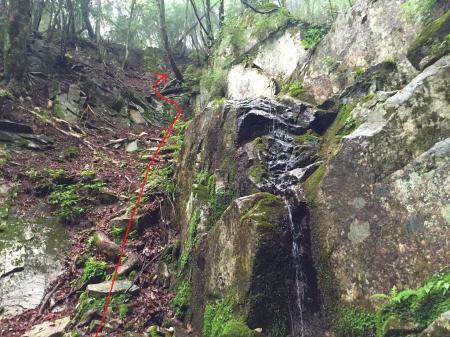 尾根は見えたがなかなか尾根へ乗れるポイントがない